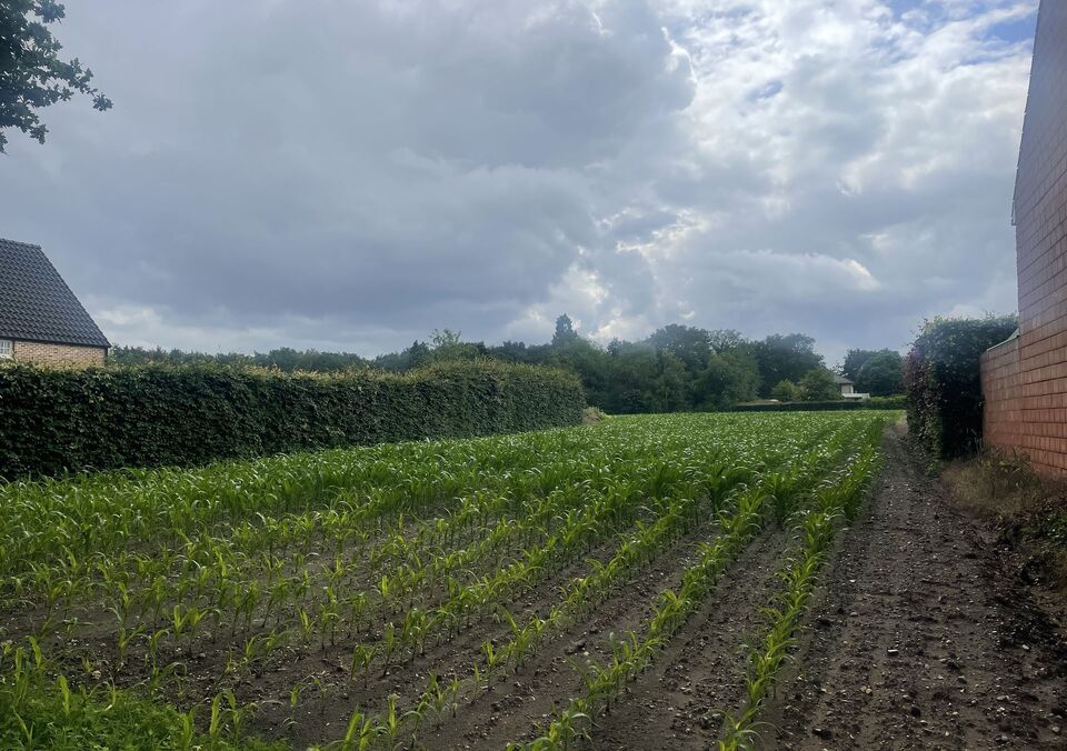 Bouwgrond te koop in AS