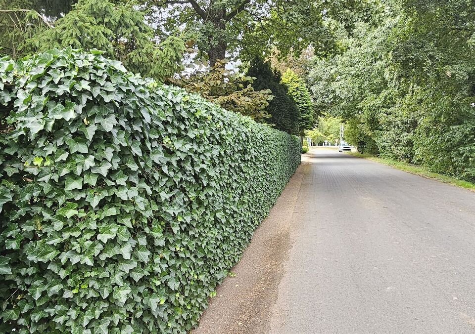 Woning te koop in OPGLABBEEK