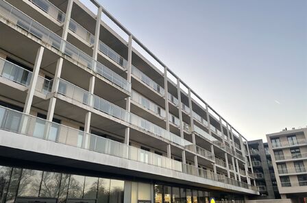 Appartement te huur in HASSELT